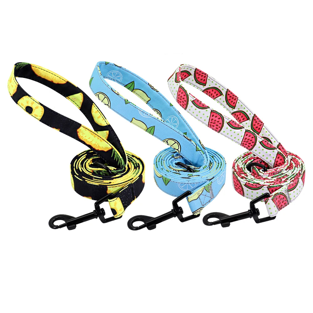 150cm Nylon Pet Leash Colorful Print Walking Training - PeticaDeals