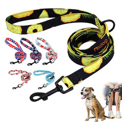 150cm Nylon Pet Leash Colorful Print Walking Training - PeticaDeals