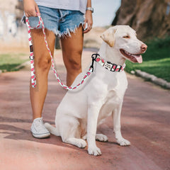 150cm Nylon Pet Leash Colorful Print Walking Training - PeticaDeals
