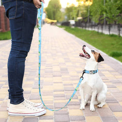 150cm Nylon Pet Leash Colorful Print Walking Training - PeticaDeals