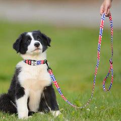 150cm Nylon Pet Leash Colorful Print Walking Training - PeticaDeals