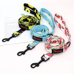 150cm Nylon Pet Leash Colorful Print Walking Training - PeticaDeals