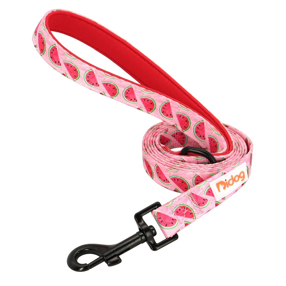 150cm Pet Leash Nylon Walking Belt - PeticaDeals