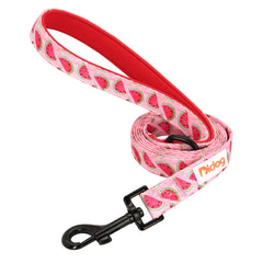 150cm Pet Leash Nylon Walking Belt - PeticaDeals