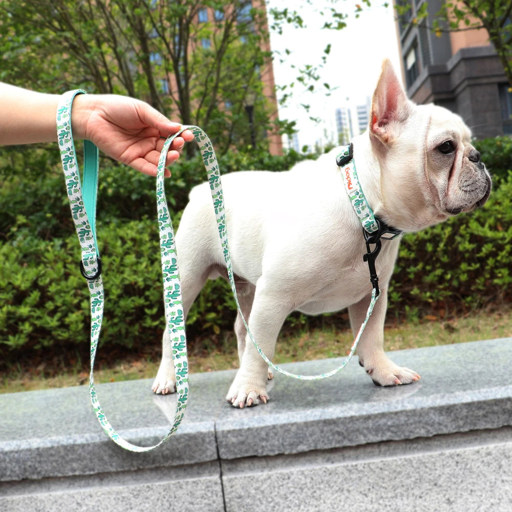 150cm Pet Leash Nylon Walking Belt - PeticaDeals