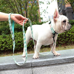 150cm Pet Leash Nylon Walking Belt - PeticaDeals