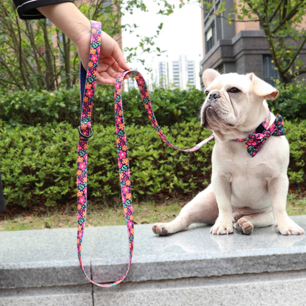 150cm Pet Leash Nylon Walking Belt - PeticaDeals