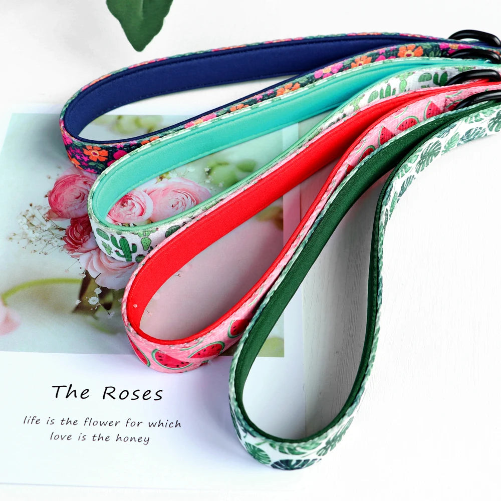 150cm Pet Leash Nylon Walking Belt - PeticaDeals