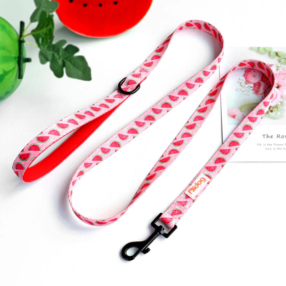 150cm Pet Leash Nylon Walking Belt - PeticaDeals