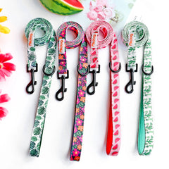 150cm Pet Leash Nylon Walking Belt - PeticaDeals