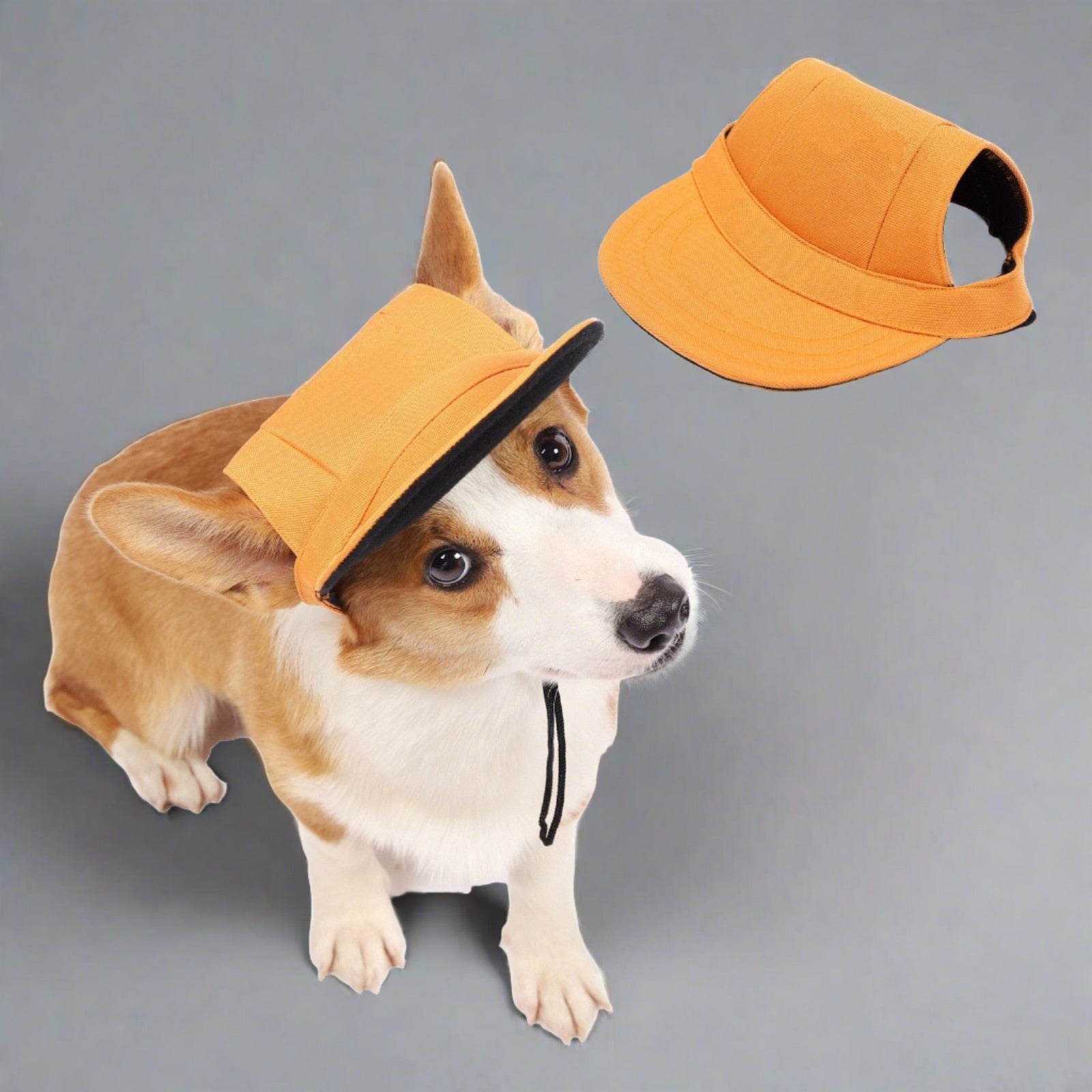 1Pcs Baseball Cap Canvas for Small Dog & Cat Accessories - PeticaDeals