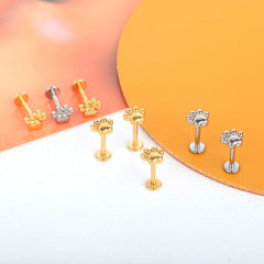 1pcs Implant Grade Titanium Puppy Paw - PeticaDeals