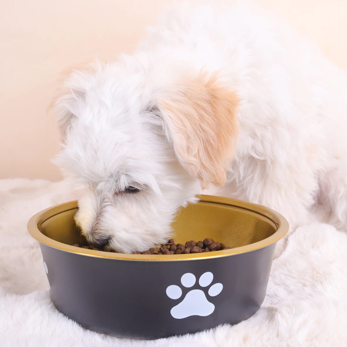 1pcs stainless steel dog bowl - PeticaDeals