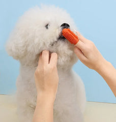 2pc Pet Teeth Cleaning Soft Hair Tooth Brush Silicone Pet Toothbrush - PeticaDeals