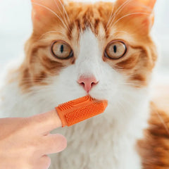 2pc Pet Teeth Cleaning Soft Hair Tooth Brush Silicone Pet Toothbrush - PeticaDeals