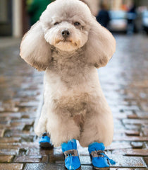 4pcs/set Dog Winter Warm Anti-skid Rain Shoes - PeticaDeals