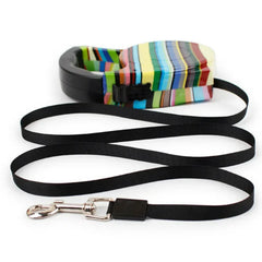 5M Colorful Retractable Dog Leash Great For Walking a Dog - PeticaDeals