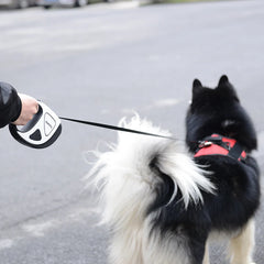 5M Long LED Big Dog Leash Automatic Retractable Pet Leashes - PeticaDeals