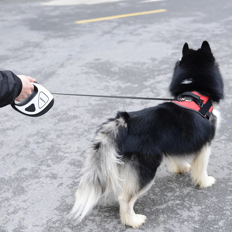 5M Long LED Big Dog Leash Automatic Retractable Pet Leashes - PeticaDeals