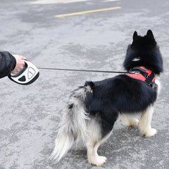 5M Long LED Big Dog Leash Automatic Retractable Pet Leashes - PeticaDeals