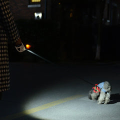 5M Long LED Big Dog Leash Automatic Retractable Pet Leashes - PeticaDeals