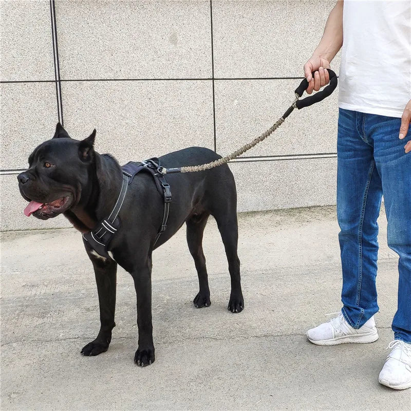 75cm 120cm Strong Dog Leash Durable Extendable - PeticaDeals