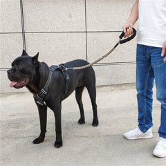 75cm 120cm Strong Dog Leash Durable Extendable - PeticaDeals
