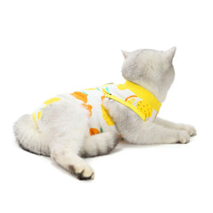 Abdominal Skin Anti-Licking Pajamas Pet Clothing - PeticaDeals