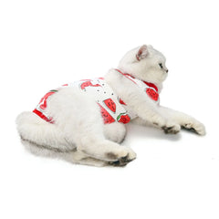 Abdominal Skin Anti-Licking Pajamas Pet Clothing - PeticaDeals