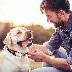 Adjustable Nylon Dog Forest Pattern Collar - PeticaDeals