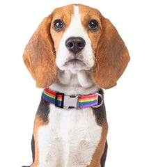 Adjustable Nylon Dog Forest Pattern Collar - PeticaDeals