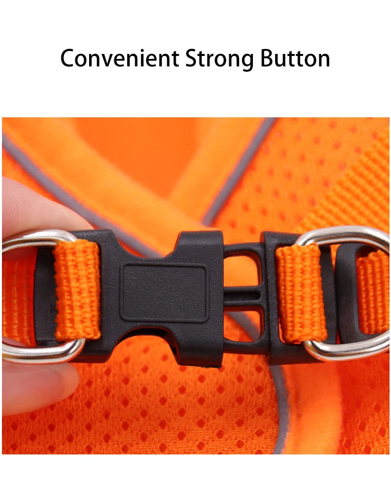 Adjustable Reflective Harness with Leash for Cats & Small Medium Dogs - PeticaDeals