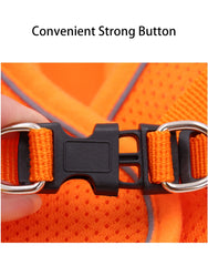 Adjustable Reflective Harness with Leash for Cats & Small Medium Dogs - PeticaDeals