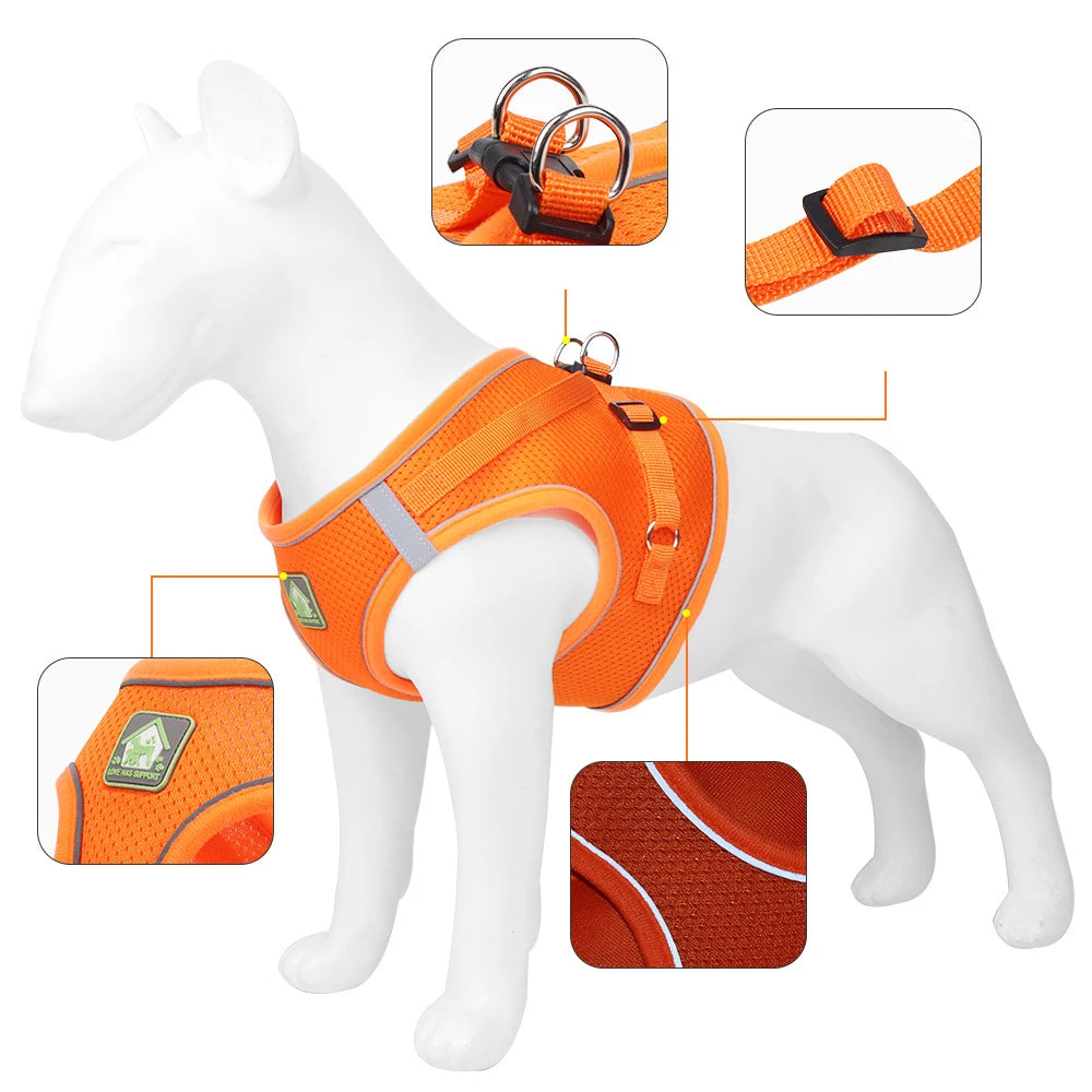 Adjustable Reflective Harness with Leash for Cats & Small Medium Dogs - PeticaDeals