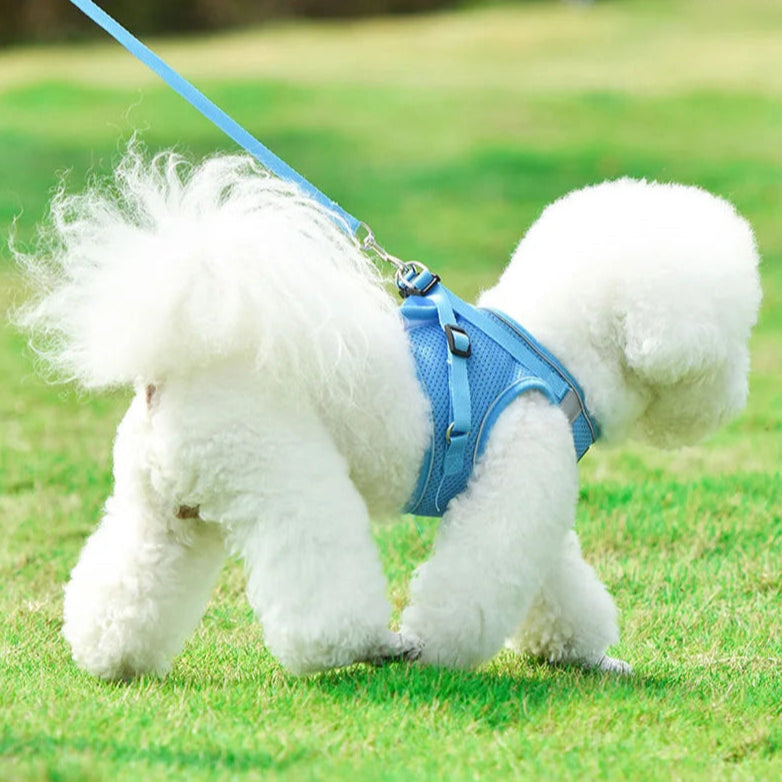 Adjustable Reflective Harness with Leash for Cats & Small Medium Dogs - PeticaDeals