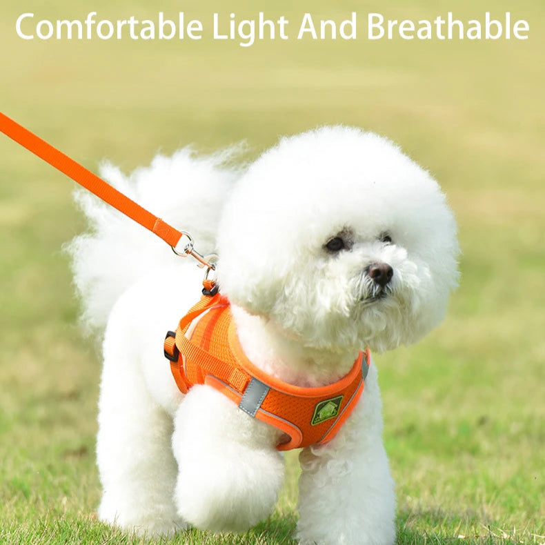 Adjustable Reflective Harness with Leash for Cats & Small Medium Dogs - PeticaDeals