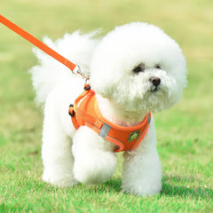 Adjustable Reflective Harness with Leash for Cats & Small Medium Dogs - PeticaDeals
