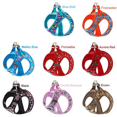 Adjustable Reflective Vest Cats & Small and Medium Dog - PeticaDeals