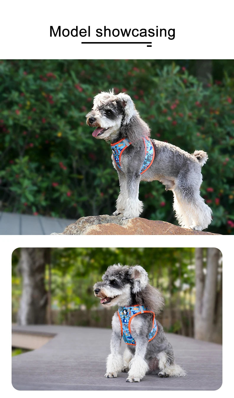 Adjustable Reflective Vest Cats & Small and Medium Dog - PeticaDeals