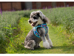Adjustable Reflective Vest Cats & Small and Medium Dog - PeticaDeals