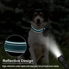 Anti-Lost Dog Collar Waterproof Airtag Protective Case Reflective Pet Necklace - PeticaDeals