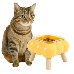 Anti-Slip Cat Food Water Bowl Detachable Anti Vomiting Pet High Footed Bowl Anti Overturning - PeticaDeals