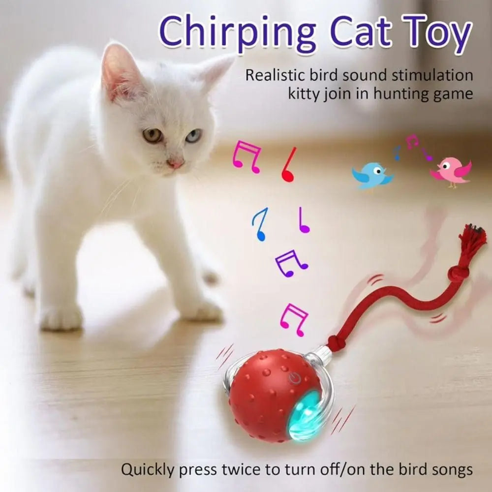 Automatic Smart Cat Toys Fast Rolling Rechargeable Dog Cat Training - PeticaDeals