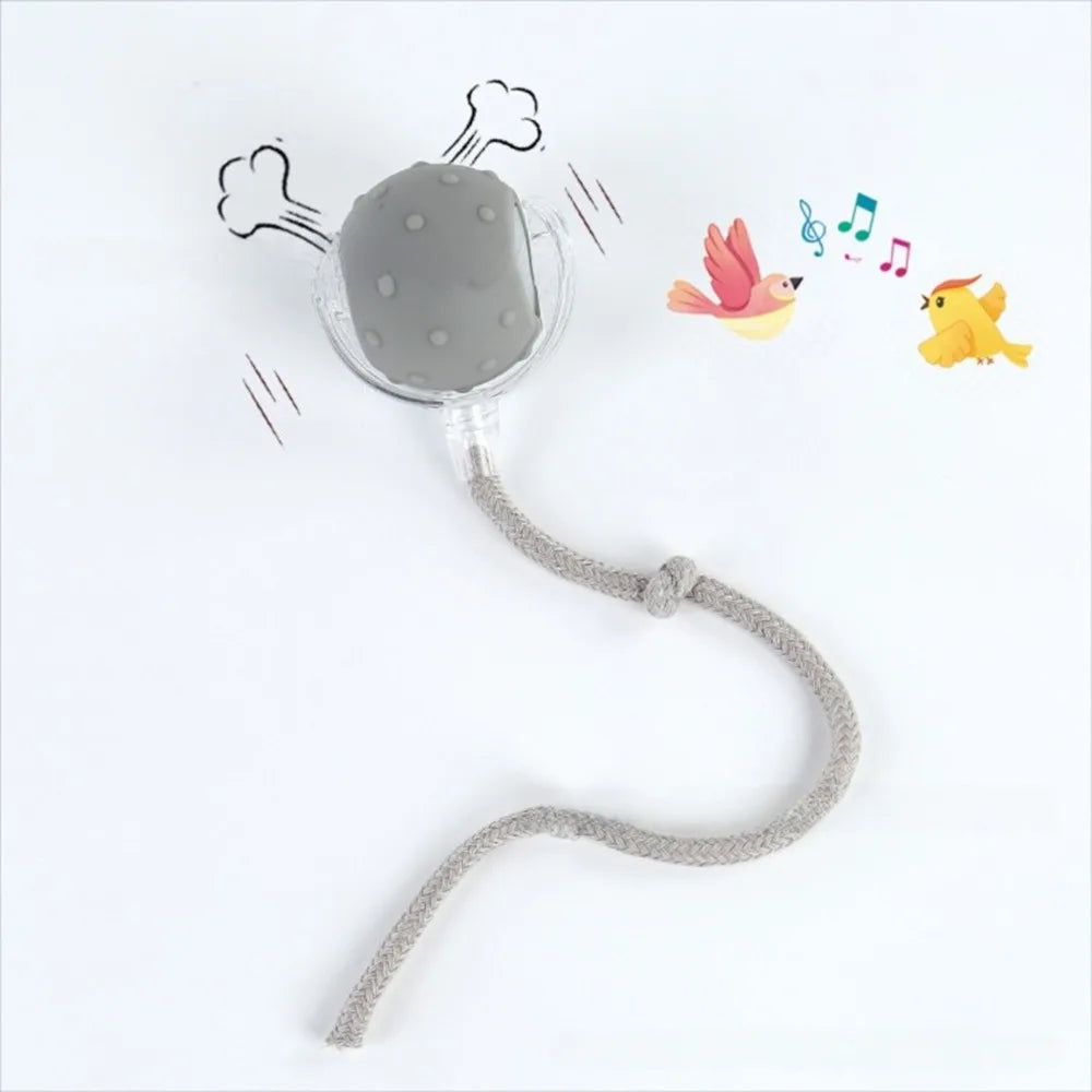 Automatic Smart Cat Toys Fast Rolling Rechargeable Dog Cat Training - PeticaDeals