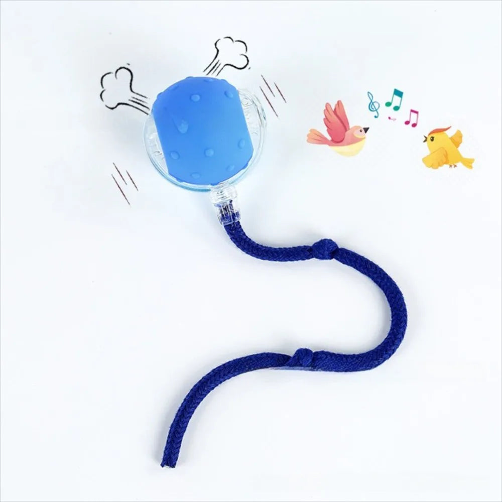 Automatic Smart Cat Toys Fast Rolling Rechargeable Dog Cat Training - PeticaDeals