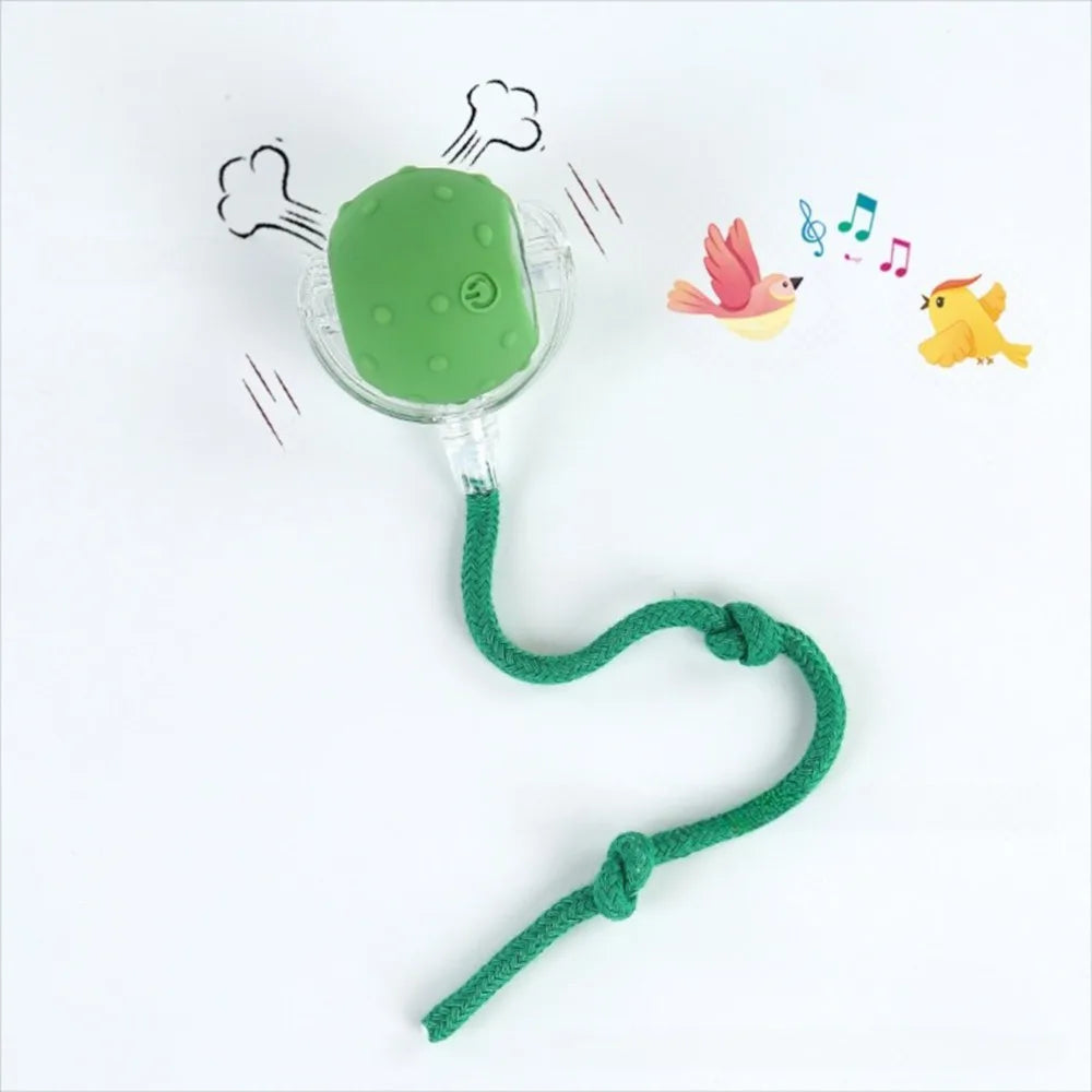 Automatic Smart Cat Toys Fast Rolling Rechargeable Dog Cat Training - PeticaDeals