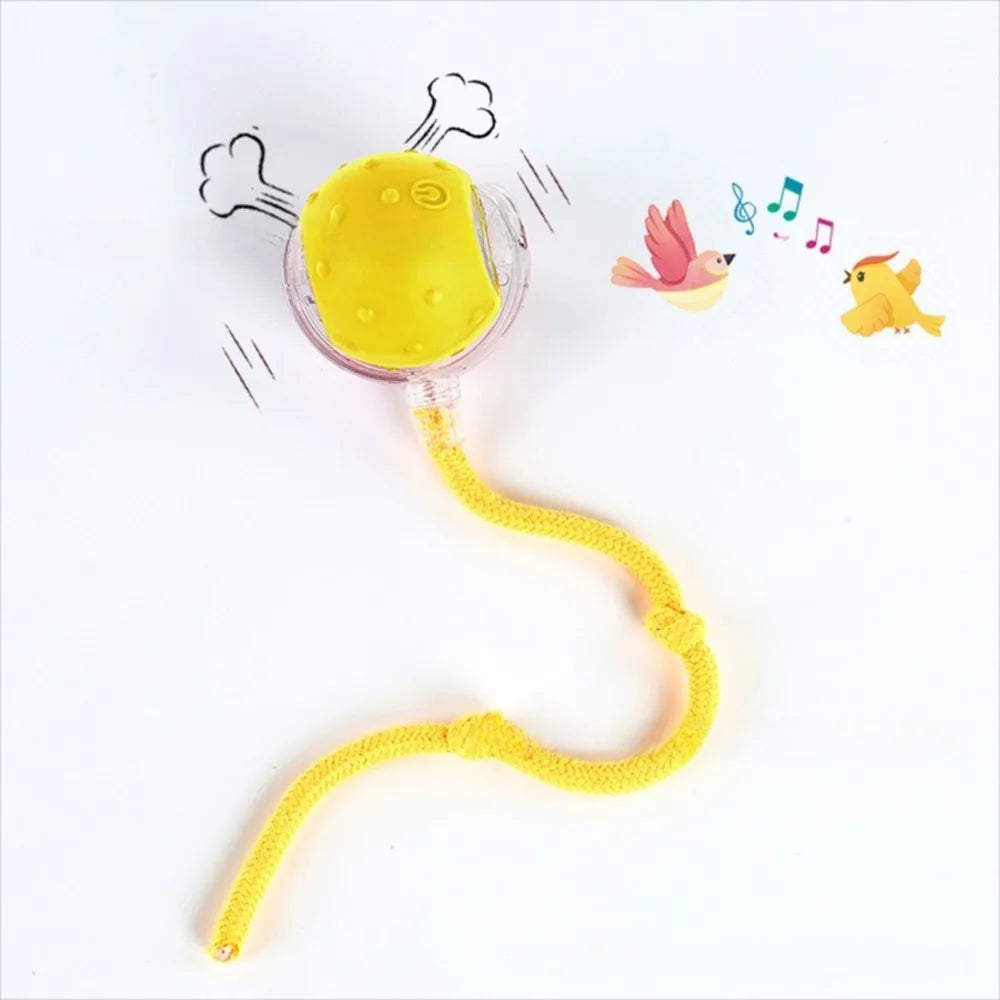 Automatic Smart Cat Toys Fast Rolling Rechargeable Dog Cat Training - PeticaDeals