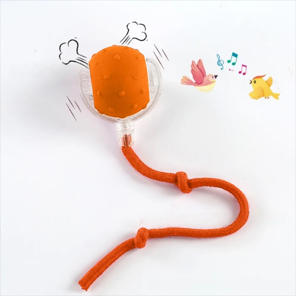 Automatic Smart Cat Toys Fast Rolling Rechargeable Dog Cat Training - PeticaDeals