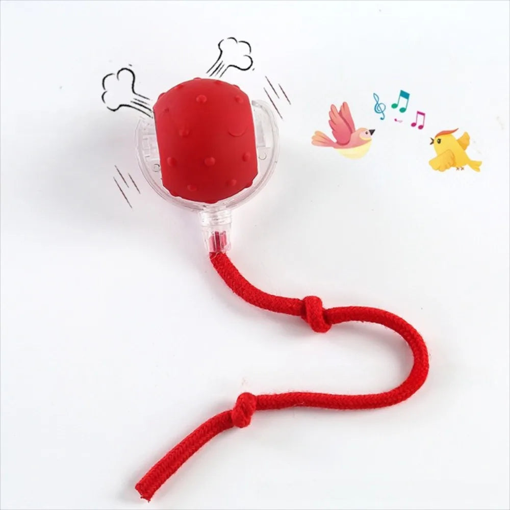 Automatic Smart Cat Toys Fast Rolling Rechargeable Dog Cat Training - PeticaDeals