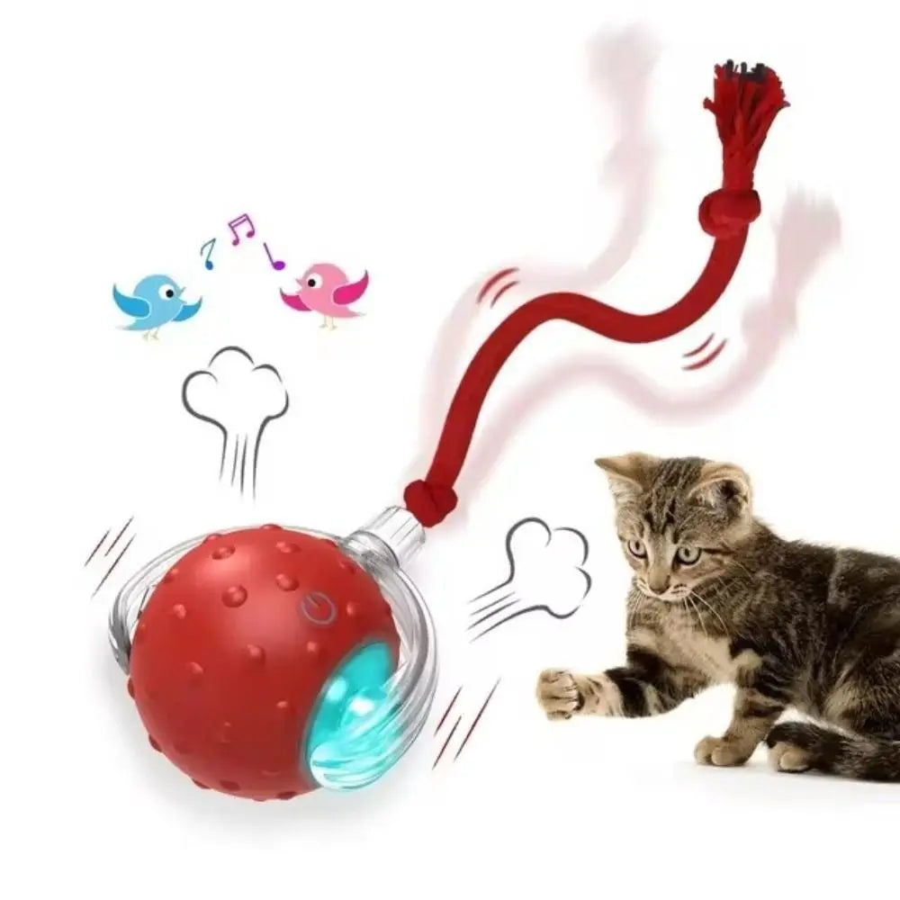 Automatic Smart Cat Toys Fast Rolling Rechargeable Dog Cat Training - PeticaDeals